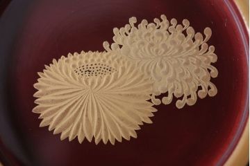 アンティーク雑貨　アンティーク　古い蒔絵の木製蓋付き椀10客