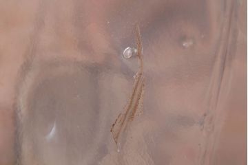 アンティーク雑貨　昭和レトロ　アイアンラック付き!蓋付きガラス瓶6個セット