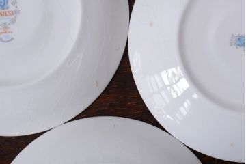 アンティーク雑貨　スペインビンテージ　PONTESA(ポンテサ)　カップ&ソーサー、皿など8点セット