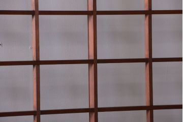 古民具・骨董　古い木のアンティーク升目格子ガラス戸