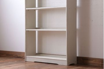 アンティーク家具　アンティークペイント　シンプルな薄型本棚(飾り棚)