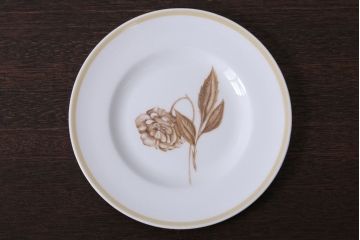 イギリスビンテージ　Susie Cooper(スージークーパー)　SOLERA(ソレラ)シリーズ　カップ&ソーサー2客とお皿のセット