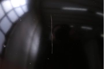 アンティーク雑貨　アンティーク　昭和初期!蒔絵木製椀10客(漆器)(2)