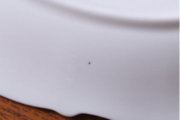 アンティーク雑貨　イギリス　Royal Albert(ロイヤルアルバート)　Tranquillity(トランキュリティ)シリーズ　ソースボート(洋食器)