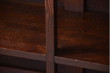 アンティーク家具　和製アンティーク　シックな大型本棚(ブックシェルフ・飾り棚)
