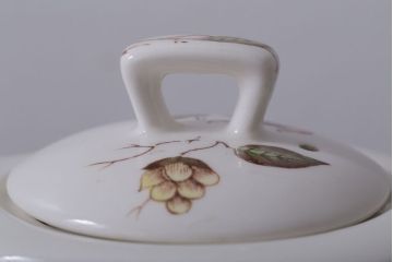MIDWINTER(ミッドウィンター)MING TREE(ミングツリー)シリーズ　ティーポット