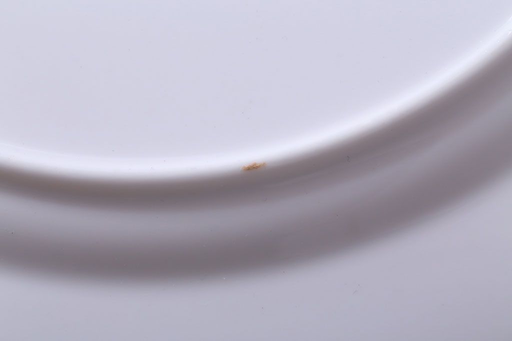 アンティーク雑貨　イギリス　Royal Albert(ロイヤルアルバート)　Tranquillity(トランキュリティ)シリーズ　ディナープレート5枚(洋食器)