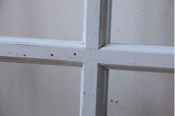 アンティーク　クリアガラス入りの背が高いおしゃれなペイント引き戸1枚(建具)