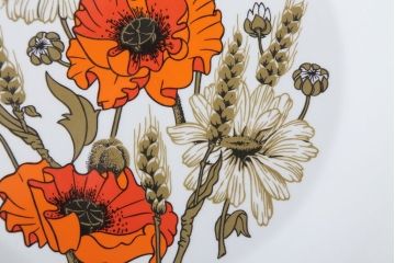 アンティーク雑貨　イギリスビンテージ　J&G　MEAKIN(ミーキン) POPPY(ポピー)シリーズ　ディナープレート6枚(洋食器・皿)