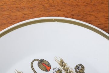 アンティーク雑貨　イギリスビンテージ　J&G　MEAKIN(ミーキン) POPPY(ポピー)シリーズ　ディナープレート6枚(洋食器・皿)