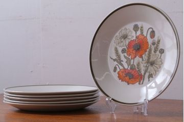 アンティーク雑貨　イギリスビンテージ　J&G　MEAKIN(ミーキン) POPPY(ポピー)シリーズ　ディナープレート6枚(洋食器・皿)