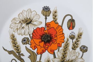 アンティーク雑貨　イギリスビンテージ　J&G　MEAKIN(ミーキン) POPPY(ポピー)シリーズ　ディナープレート6枚(洋食器・皿)