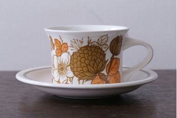 MIDWINTER(ミッドウィンター)　Country side(カントリーサイド)シリーズ　カップ&ソーサー1客(洋食器)