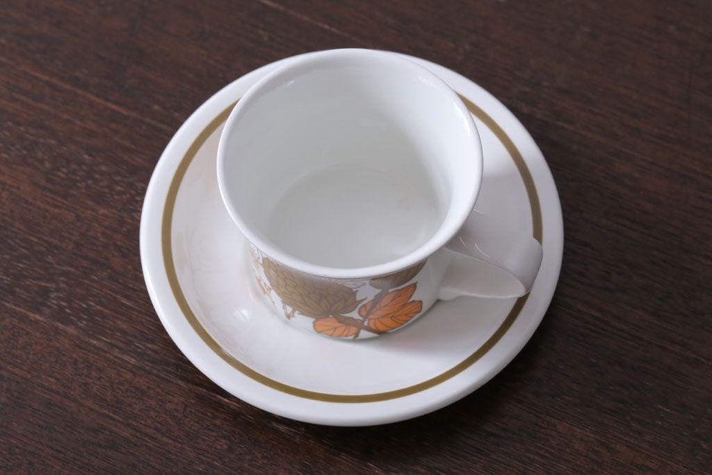 MIDWINTER(ミッドウィンター)　Country side(カントリーサイド)シリーズ　カップ&ソーサー1客(洋食器)