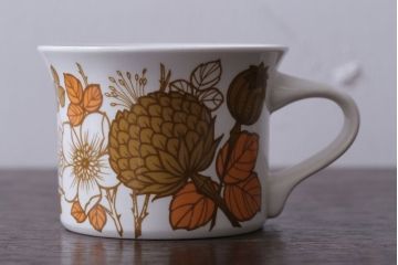 MIDWINTER(ミッドウィンター)　Country side(カントリーサイド)シリーズ　カップ&ソーサー1客(洋食器)