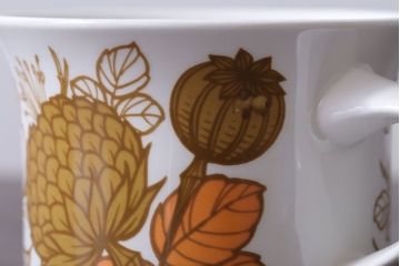 MIDWINTER(ミッドウィンター)　Country side(カントリーサイド)シリーズ　カップ&ソーサー1客(洋食器)