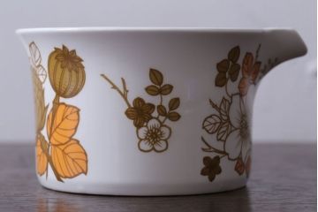 MIDWINTER(ミッドウィンター)　Country side(カントリーサイド)シリーズ　ポットとクリーマー(グレイビーボード)2点セット(洋食器)