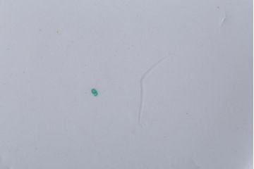 MIDWINTER(ミッドウィンター)　Country side(カントリーサイド)シリーズ　ポットとクリーマー(グレイビーボード)2点セット(洋食器)