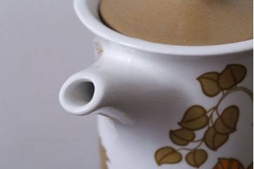 MIDWINTER(ミッドウィンター)　Country side(カントリーサイド)シリーズ　ポットとクリーマー(グレイビーボード)2点セット(洋食器)