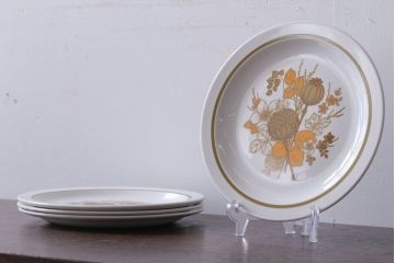 MIDWINTER(ミッドウィンター)　Country side(カントリーサイド)シリーズ　平皿4枚セット(洋食器)