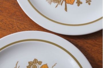 MIDWINTER(ミッドウィンター)　Country side(カントリーサイド)シリーズ　平皿4枚セット(洋食器)