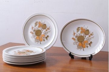 アンティーク雑貨　MIDWINTER(ミッドウィンター)　Country side(カントリーサイド)シリーズ　ディナープレート8枚とオーバルプレート1枚の9点セット(洋食器)