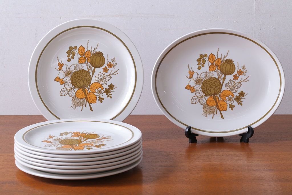 アンティーク雑貨　MIDWINTER(ミッドウィンター)　Country side(カントリーサイド)シリーズ　ディナープレート8枚とオーバルプレート1枚の9点セット(洋食器)