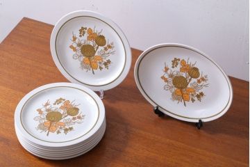 アンティーク雑貨　MIDWINTER(ミッドウィンター)　Country side(カントリーサイド)シリーズ　ディナープレート8枚とオーバルプレート1枚の9点セット(洋食器)