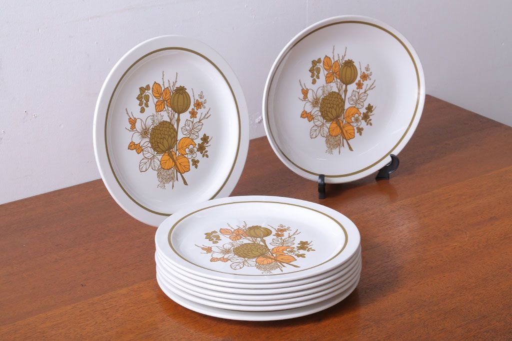 アンティーク雑貨　MIDWINTER(ミッドウィンター)　Country side(カントリーサイド)シリーズ　ディナープレート8枚とオーバルプレート1枚の9点セット(洋食器)