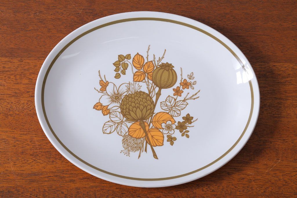 アンティーク雑貨　MIDWINTER(ミッドウィンター)　Country side(カントリーサイド)シリーズ　ディナープレート8枚とオーバルプレート1枚の9点セット(洋食器)