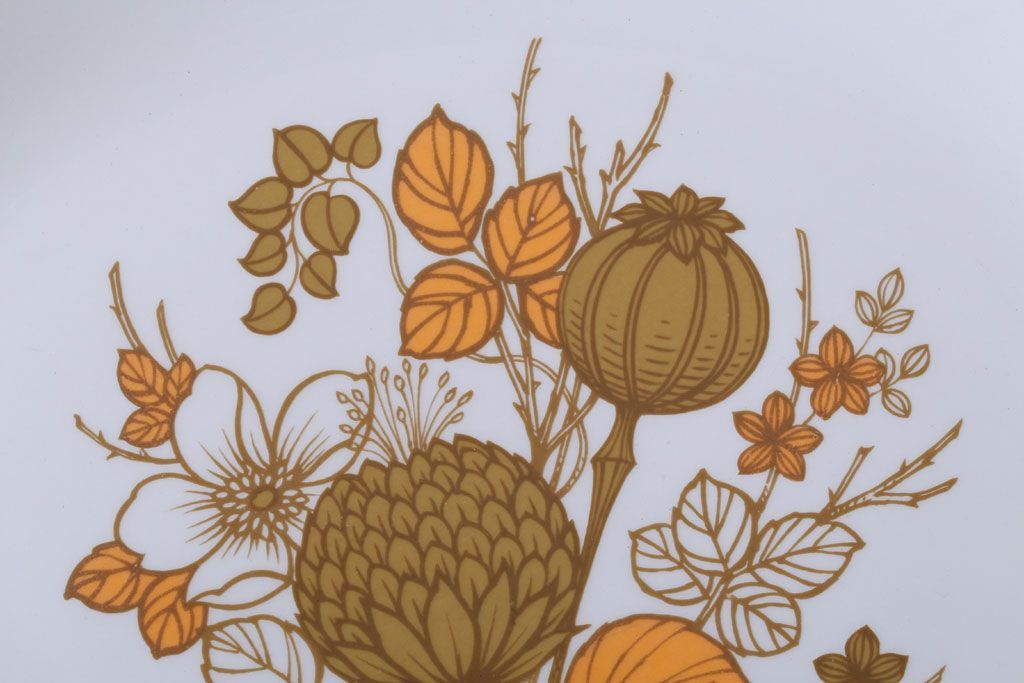 アンティーク雑貨　MIDWINTER(ミッドウィンター)　Country side(カントリーサイド)シリーズ　ディナープレート8枚とオーバルプレート1枚の9点セット(洋食器)