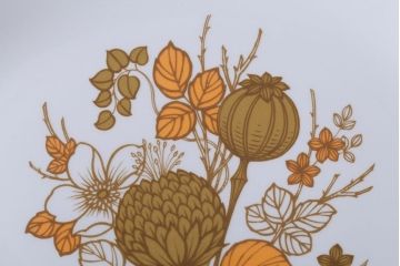 アンティーク雑貨　MIDWINTER(ミッドウィンター)　Country side(カントリーサイド)シリーズ　ディナープレート8枚とオーバルプレート1枚の9点セット(洋食器)