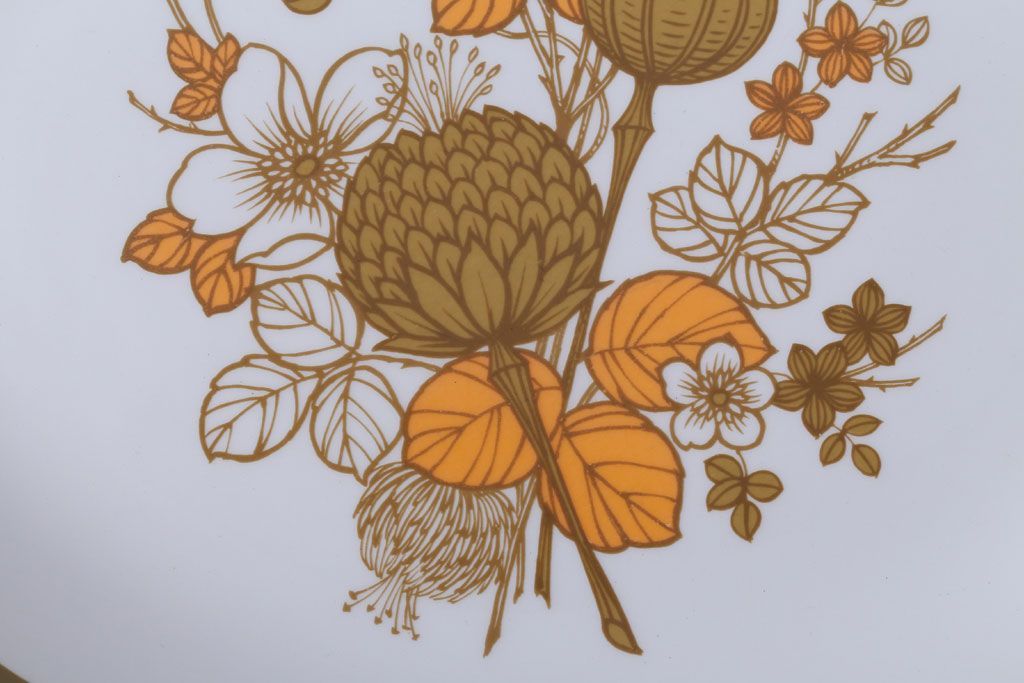 アンティーク雑貨　MIDWINTER(ミッドウィンター)　Country side(カントリーサイド)シリーズ　ディナープレート8枚とオーバルプレート1枚の9点セット(洋食器)