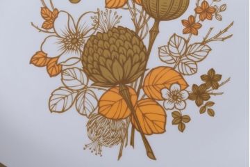 アンティーク雑貨　MIDWINTER(ミッドウィンター)　Country side(カントリーサイド)シリーズ　ディナープレート8枚とオーバルプレート1枚の9点セット(洋食器)