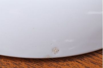 アンティーク雑貨　MIDWINTER(ミッドウィンター)　Country side(カントリーサイド)シリーズ　ディナープレート8枚とオーバルプレート1枚の9点セット(洋食器)