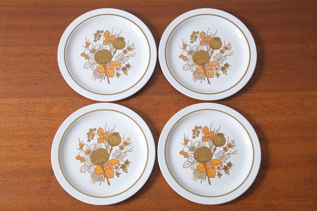 アンティーク雑貨　MIDWINTER(ミッドウィンター)　Country side(カントリーサイド)シリーズ　ディナープレート8枚とオーバルプレート1枚の9点セット(洋食器)