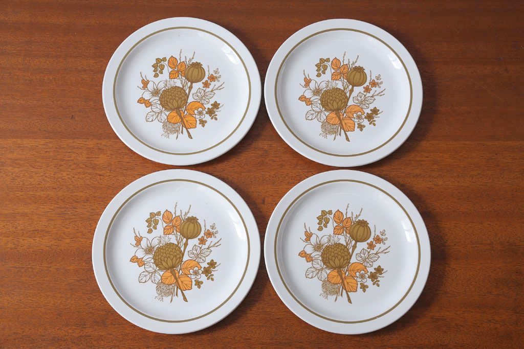 アンティーク雑貨　MIDWINTER(ミッドウィンター)　Country side(カントリーサイド)シリーズ　ディナープレート8枚とオーバルプレート1枚の9点セット(洋食器)