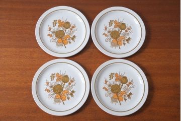 アンティーク雑貨　MIDWINTER(ミッドウィンター)　Country side(カントリーサイド)シリーズ　ディナープレート8枚とオーバルプレート1枚の9点セット(洋食器)