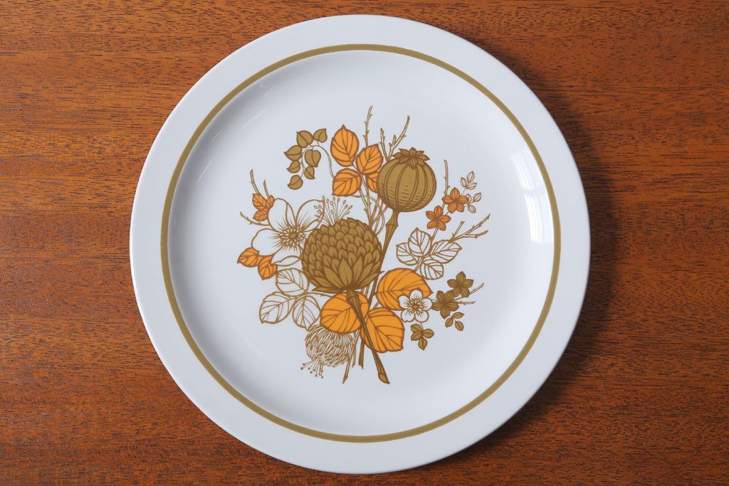 アンティーク雑貨　MIDWINTER(ミッドウィンター)　Country side(カントリーサイド)シリーズ　ディナープレート8枚とオーバルプレート1枚の9点セット(洋食器)