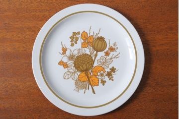 アンティーク雑貨　MIDWINTER(ミッドウィンター)　Country side(カントリーサイド)シリーズ　ディナープレート8枚とオーバルプレート1枚の9点セット(洋食器)