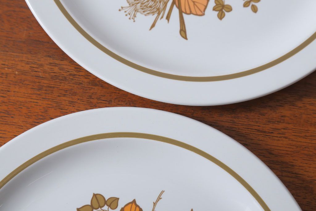 アンティーク雑貨　MIDWINTER(ミッドウィンター)　Country side(カントリーサイド)シリーズ　ディナープレート8枚とオーバルプレート1枚の9点セット(洋食器)