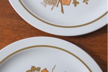 アンティーク雑貨　MIDWINTER(ミッドウィンター)　Country side(カントリーサイド)シリーズ　ディナープレート8枚とオーバルプレート1枚の9点セット(洋食器)