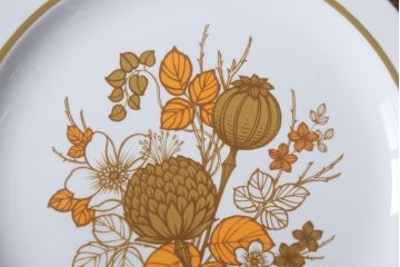 アンティーク雑貨　MIDWINTER(ミッドウィンター)　Country side(カントリーサイド)シリーズ　ディナープレート8枚とオーバルプレート1枚の9点セット(洋食器)