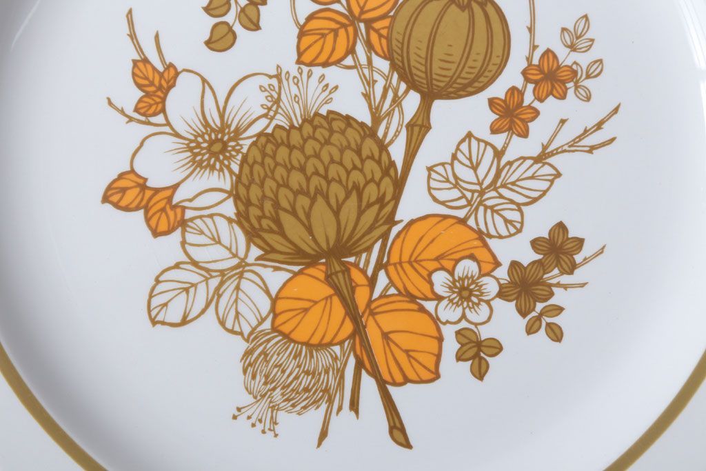 アンティーク雑貨　MIDWINTER(ミッドウィンター)　Country side(カントリーサイド)シリーズ　ディナープレート8枚とオーバルプレート1枚の9点セット(洋食器)