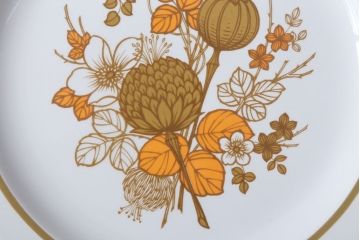 アンティーク雑貨　MIDWINTER(ミッドウィンター)　Country side(カントリーサイド)シリーズ　ディナープレート8枚とオーバルプレート1枚の9点セット(洋食器)