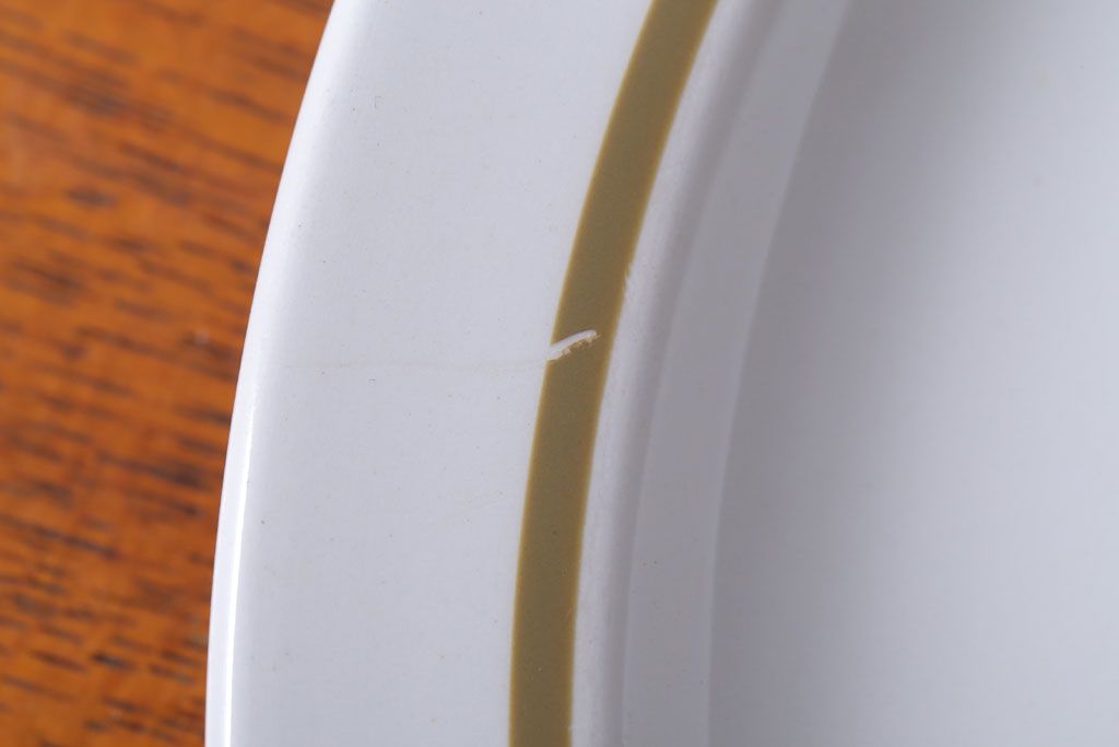 アンティーク雑貨　MIDWINTER(ミッドウィンター)　Country side(カントリーサイド)シリーズ　ディナープレート8枚とオーバルプレート1枚の9点セット(洋食器)