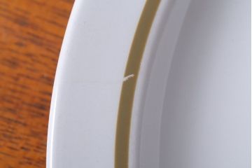 アンティーク雑貨　MIDWINTER(ミッドウィンター)　Country side(カントリーサイド)シリーズ　ディナープレート8枚とオーバルプレート1枚の9点セット(洋食器)