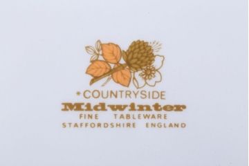 アンティーク雑貨　MIDWINTER(ミッドウィンター)　Country side(カントリーサイド)シリーズ　ディナープレート8枚とオーバルプレート1枚の9点セット(洋食器)