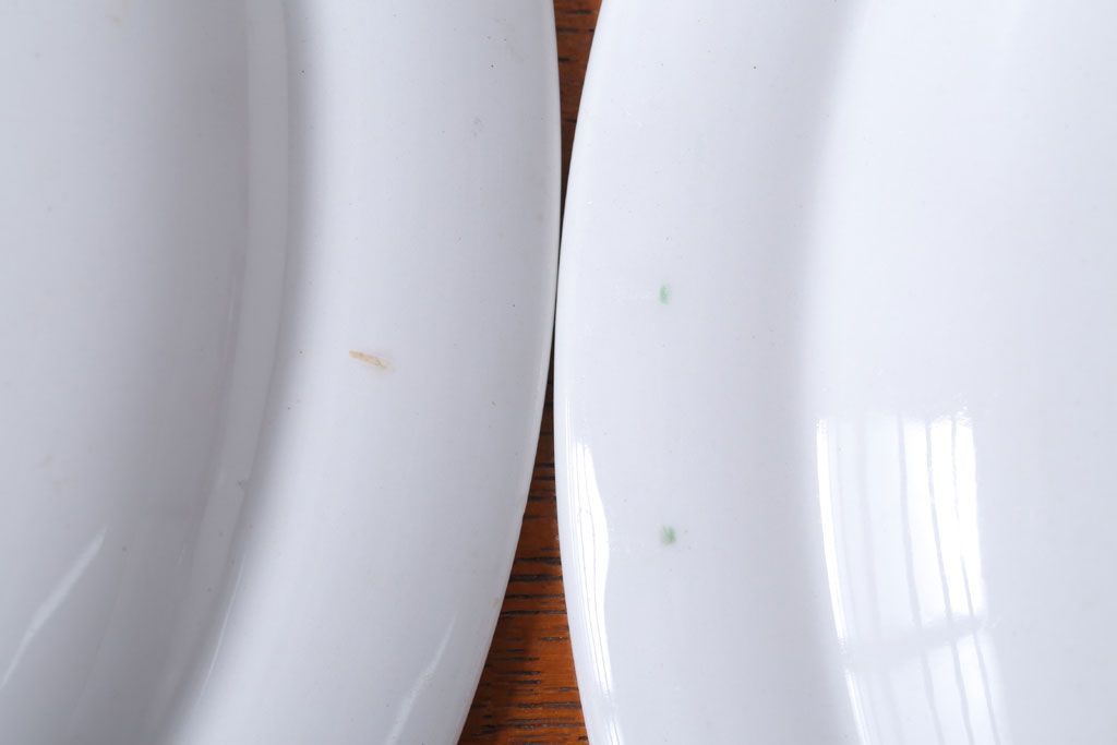 アンティーク雑貨　MIDWINTER(ミッドウィンター)　Country side(カントリーサイド)シリーズ　ディナープレート8枚とオーバルプレート1枚の9点セット(洋食器)