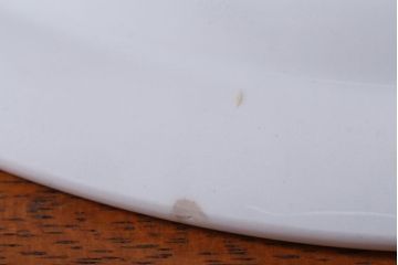 アンティーク雑貨　MIDWINTER(ミッドウィンター)　Country side(カントリーサイド)シリーズ　ディナープレート8枚とオーバルプレート1枚の9点セット(洋食器)